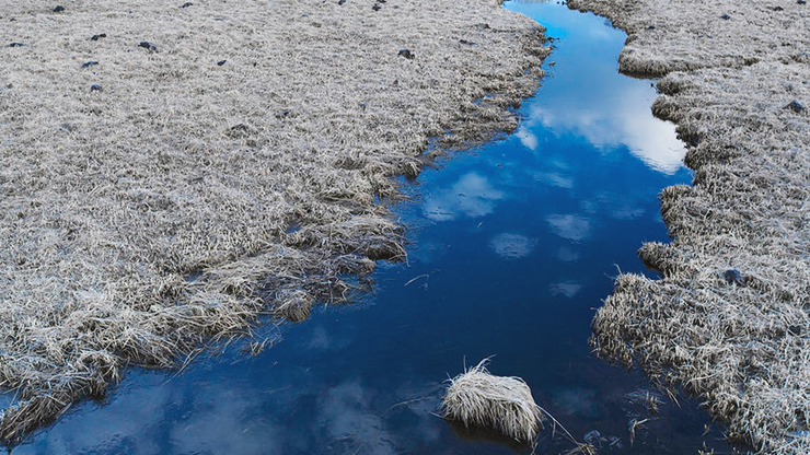 Blue sky in snowmelt, Blacktail Pond