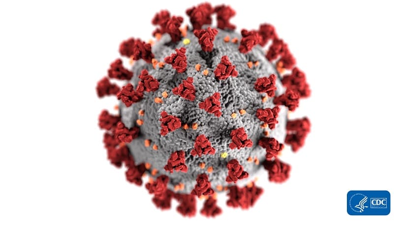 This illustration, created at the Centers for Disease Control and Prevention (CDC), reveals ultrastructural morphology exhibited by coronaviruses. Note the spikes that adorn the outer surface of the virus, which impart the look of a corona surrounding the virion, when viewed electron microscopically. A novel coronavirus, named Severe Acute Respiratory Syndrome coronavirus 2 (SARS-CoV-2), was identified as the cause of an outbreak of respiratory illness first detected in Wuhan, China in 2019. This illustration, created at the Centers for Disease Control and Prevention (CDC), reveals ultrastructural morphology exhibited by coronaviruses. Note the spikes that adorn the outer surface of the virus, which impart the look of a corona surrounding the virion, when viewed electron microscopically. A novel coronavirus, named Severe Acute Respiratory Syndrome coronavirus 2 (SARS-CoV-2), was identified as the cause of an outbreak of respiratory illness first detected in Wuhan, China in 2019.