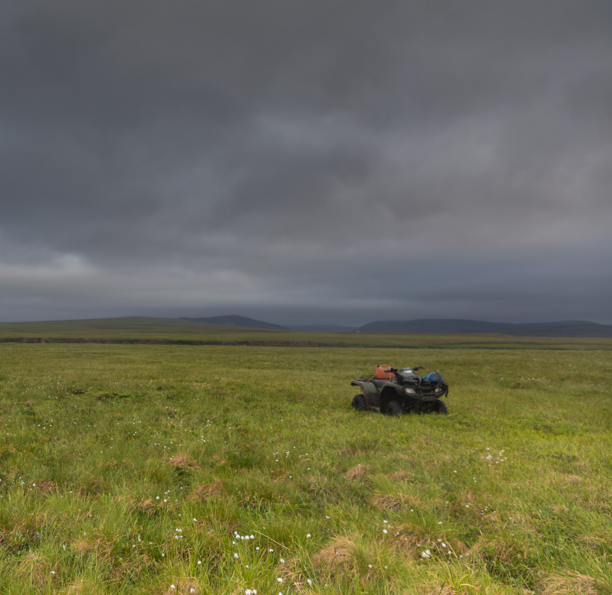 Four wheeler 