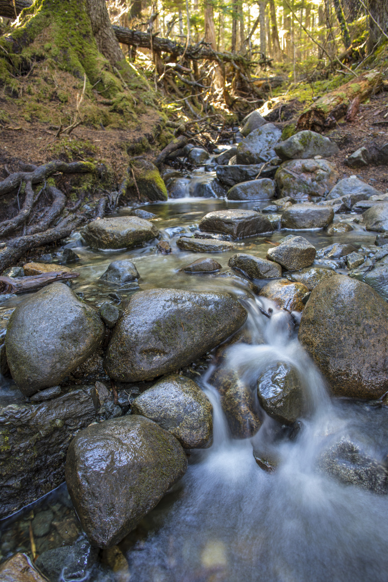 Water on rocks