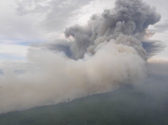 Aerial view of a wildfire