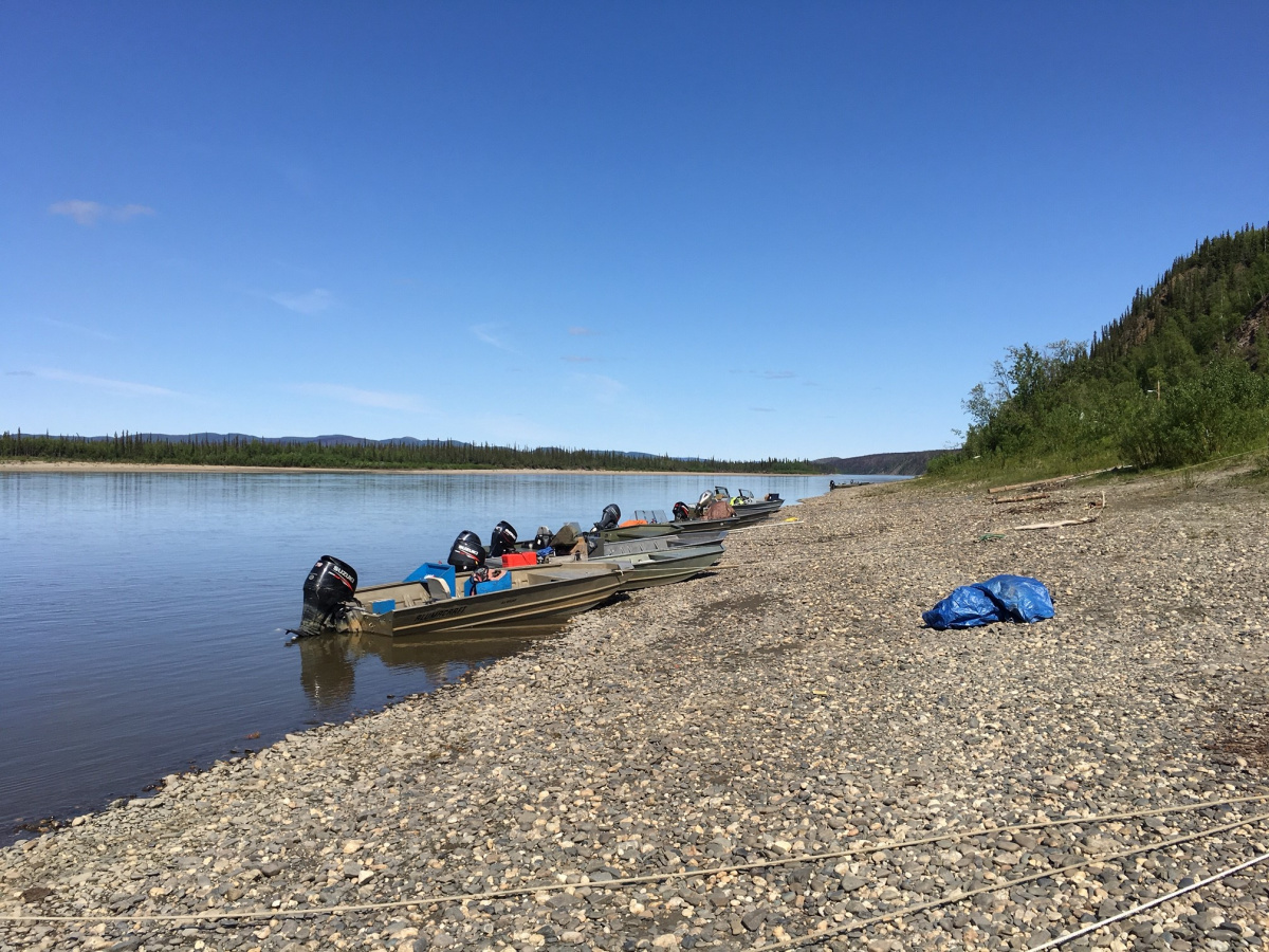 Koyukuk River, view up river from Hughes