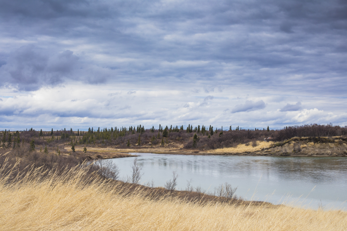 Peck's Creek