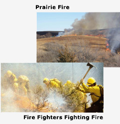 firefighters