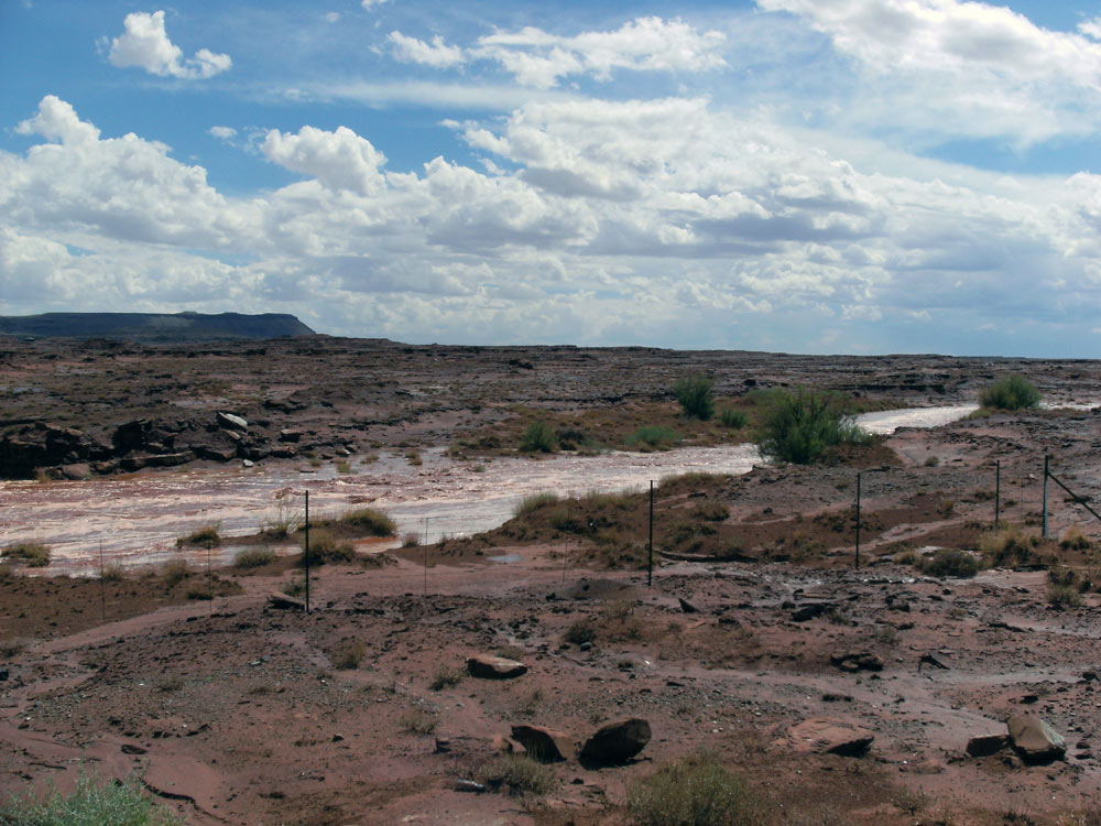 Flash Flood