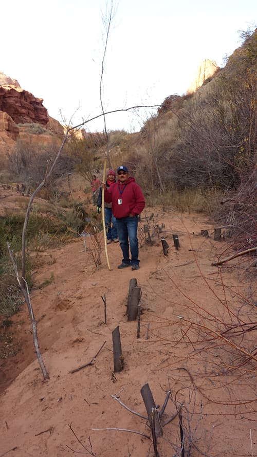 BIA staff stand among a dozen saplings that have been cut 6-10 inches from the ground as part of a weed removal project.