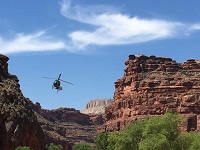 D3.Supai1