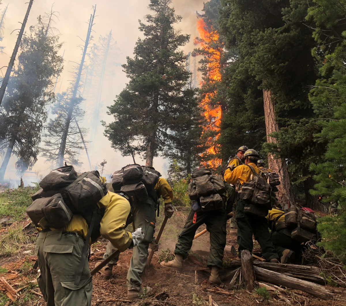 A handcrew construct handline during the 2017 Eagle Wildfire. Photo: CSKT