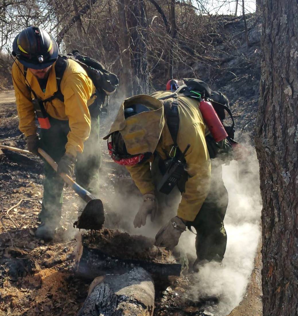 Firefighters extinguish a hot spot by scraping embers off a smoldering log and exposing heat to the cooler air.