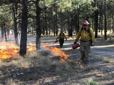 Firefighters from Fort Apache conduct a prescribed fire on a burn unit to reduce forest litter buildup, 2017.