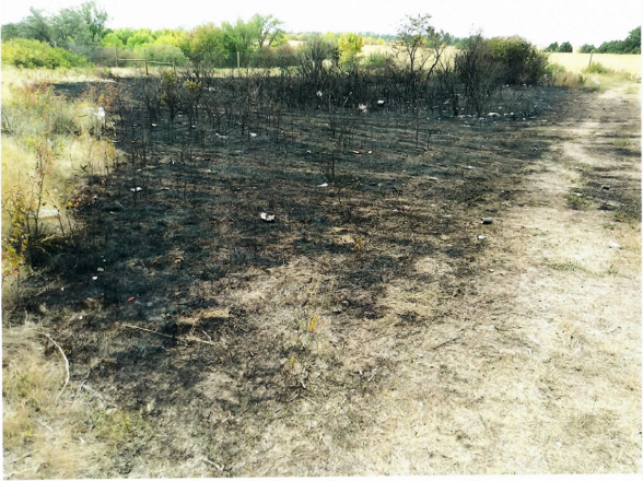 Burn scar of the Short Stop Wildfire 