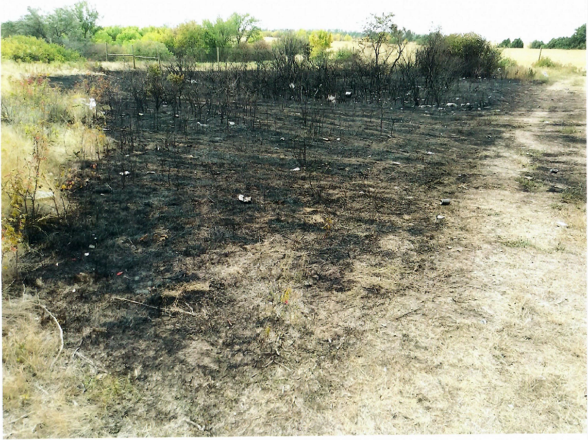 Burn scar of the Short Stop Wildfire Burn scar of the Short Stop Wildfire