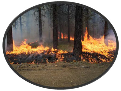 Burn patters used at TREX. Photo by Yolanda Yallup Burn patters used at TREX. Photo by Yolanda Yallup
