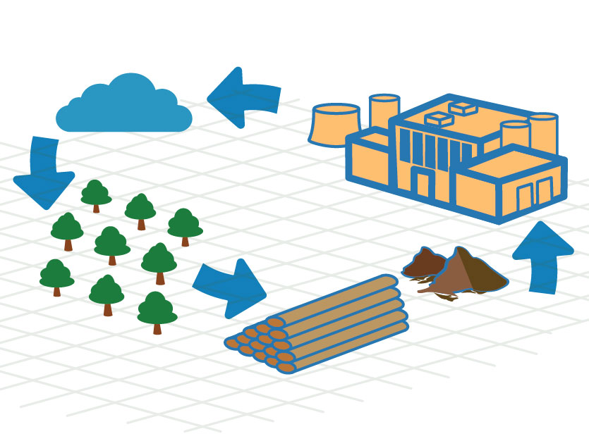 Biomass Illustration