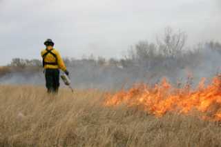 Fire Controlled Burn