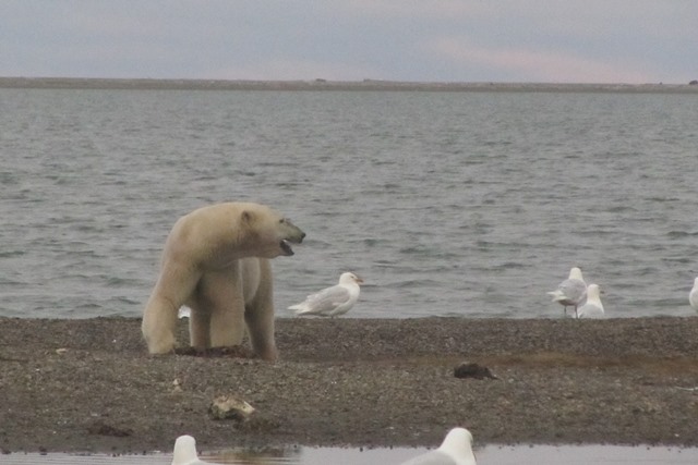 Alaska Overview 32