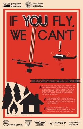 If you fly, we Can't poster