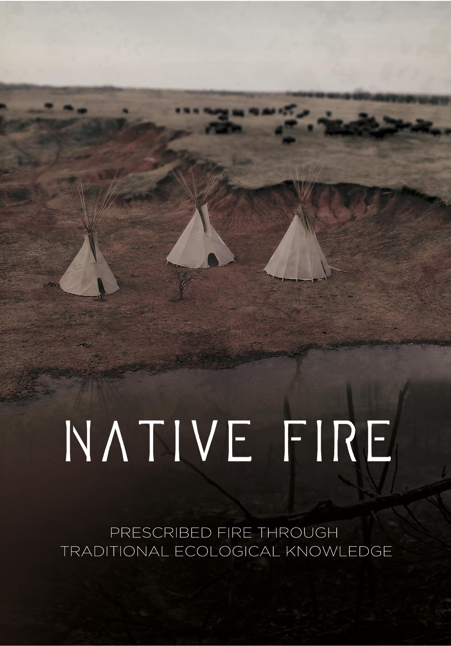 Native Fire video picture