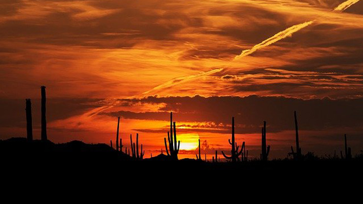 Arizona Sunset Arizona Sunset