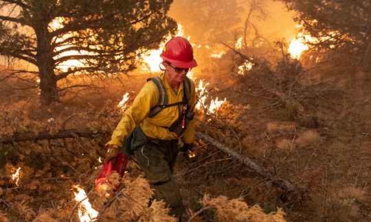 Wildland firefighter out in the field with raging fires in background