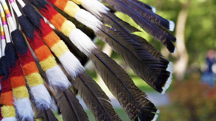9 decorated turkey feathers. The base of feathers are decorated with white, yellow, orange, red and black thread. 