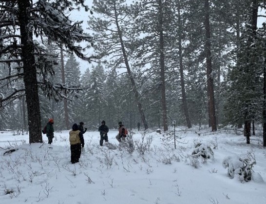 Timber Team assisting Umatilla Reservation with marking trees 