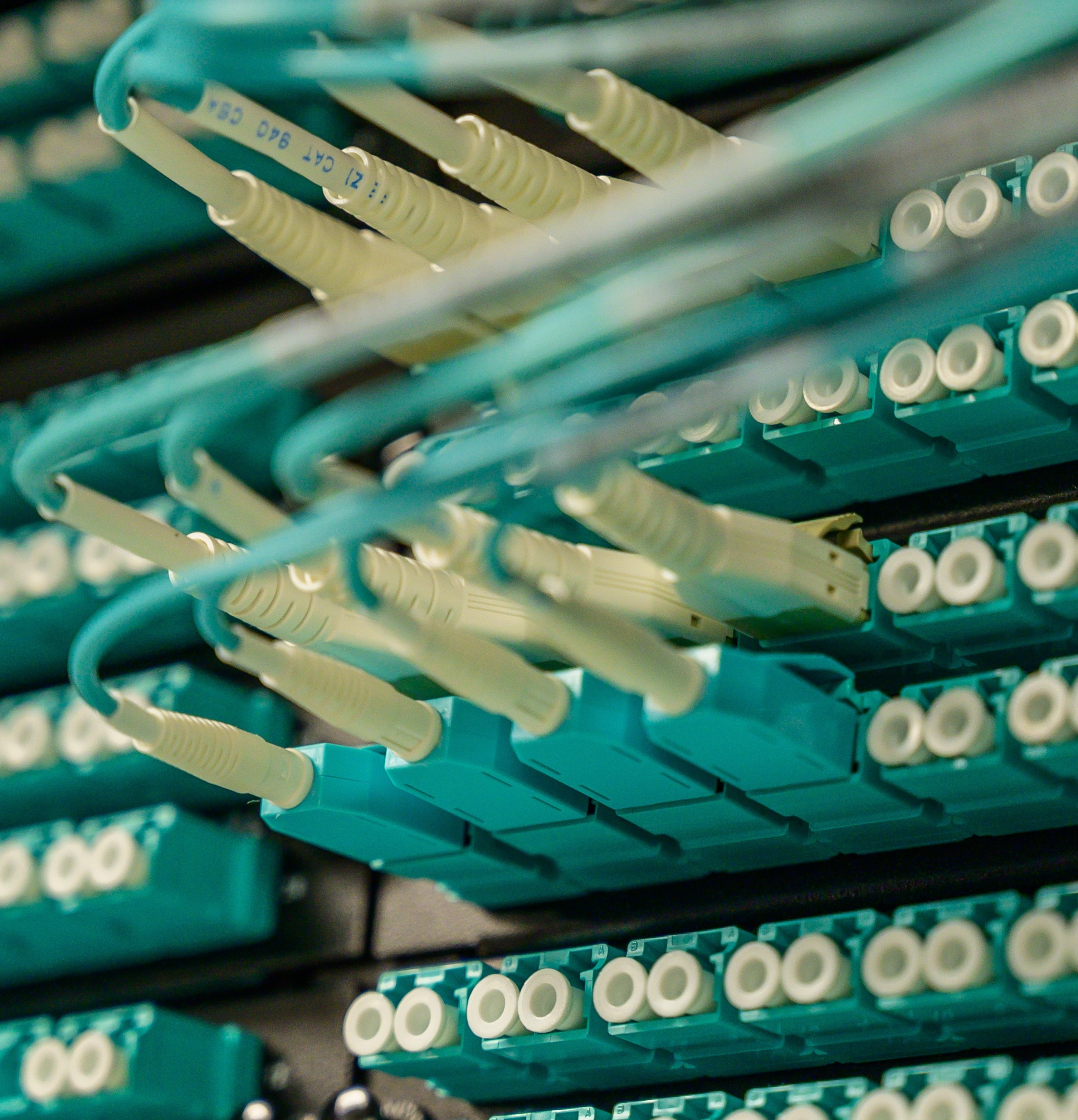 A photo of ethernet cords promoting larger access to broadband services.