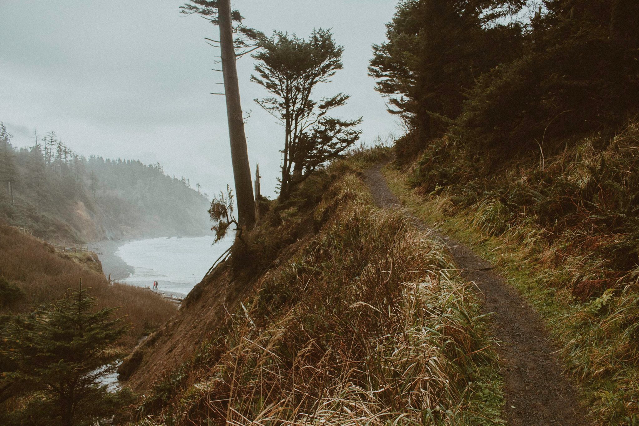 Coastal Cliff Trail