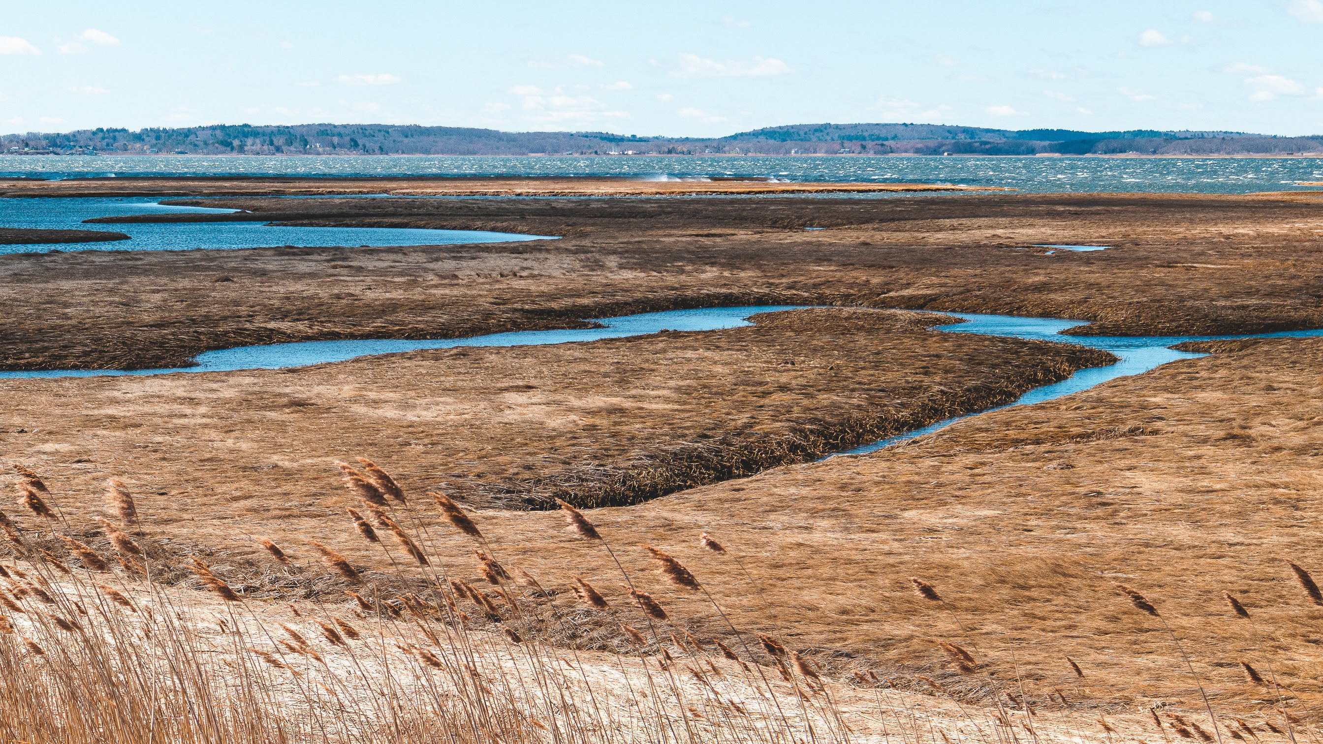 A photo with water drying up from the land. 