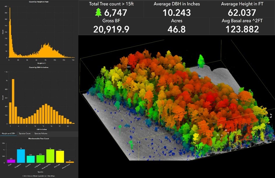 2022 3D color LiDAR capture of a tree stand provided by Northwest Management, Inc.