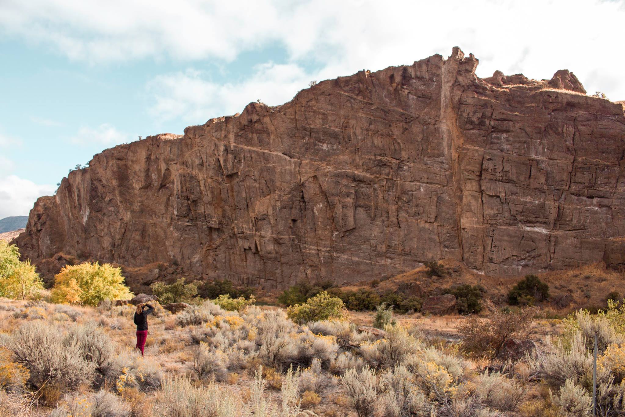 Northwest Desert Bluff