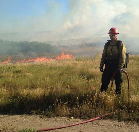 Interns explore careers in wildland fire management