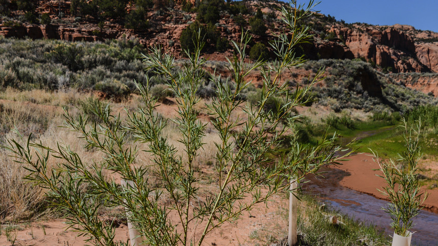 Photo of the landscape on Navajo Nation