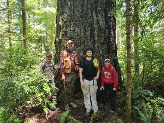 Timber Team assisting the Coquille Tribe in cruising to assess value and volume on Douglas-fir tree stands.