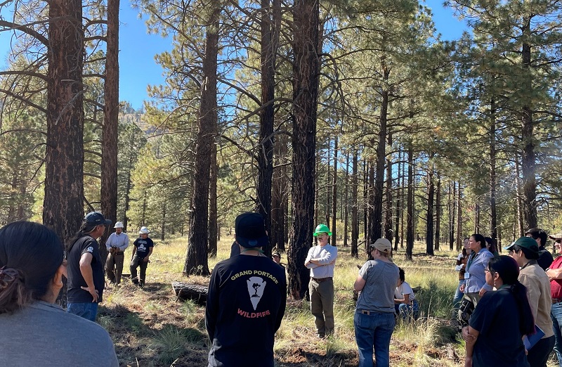 Summit attendees speak with sawyers on the job to learn about the Four Forest Restoration Initiative (4FRI) project in the northern Arizona ponderosa pine forest.