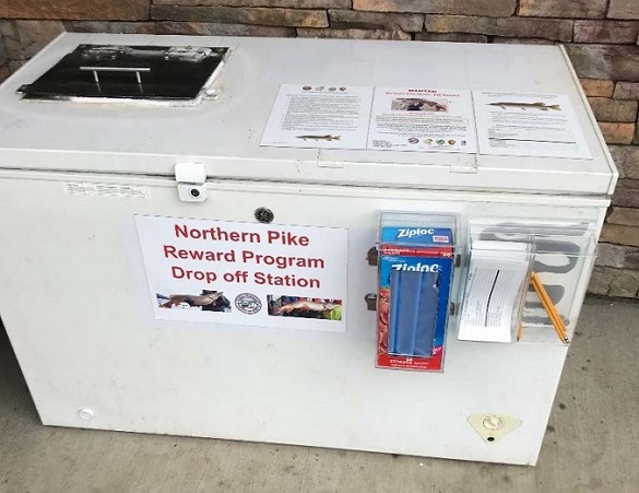 Northern Pike public drop-off station.