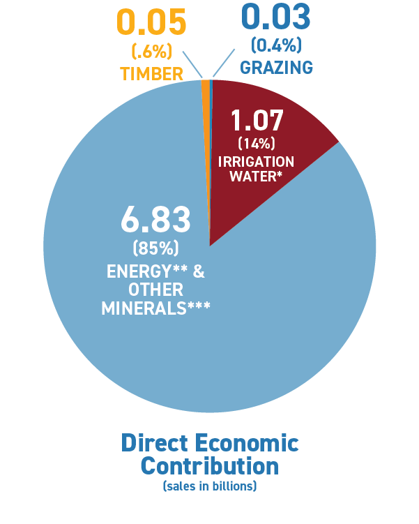 piechart of Direct Economic Contribution