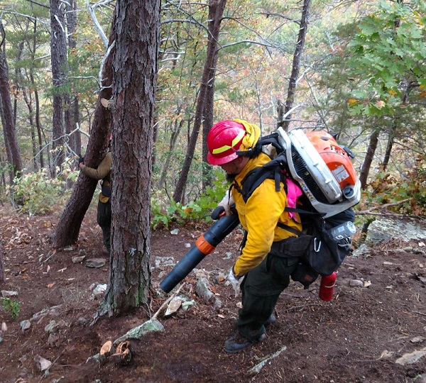 Firefighter from Bay Mills Hand Crew uses a leaf blower to remove leaf litter from the fireline. 2017. Photo by Cole Tadgerson, Assistant Crew Boss, BIA Michigan Agency