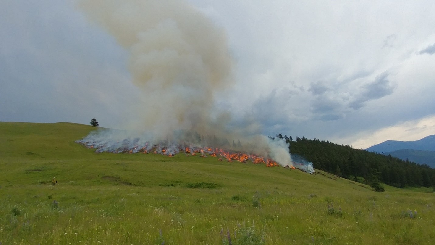 Prescribed burn ignitions burn through weeds and dead grass to restore bison range near the Flathead Indian Reservation