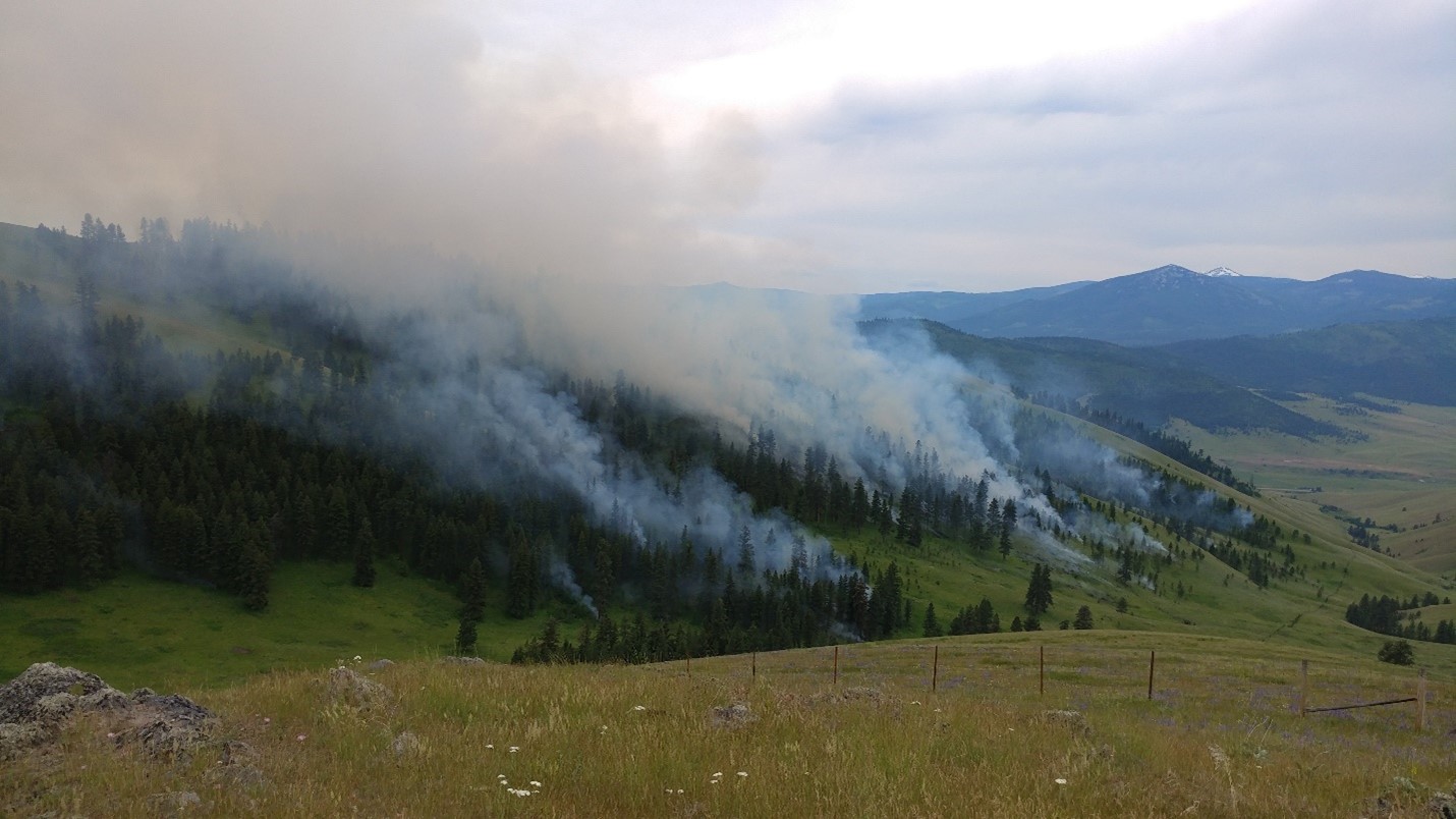 An additional photo of prescribed burn taking place for the National Bison Range project
