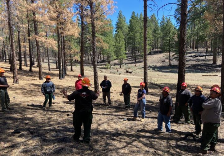 Hualapai Nation staff are on Hualapai Reservation land viewing tree stand