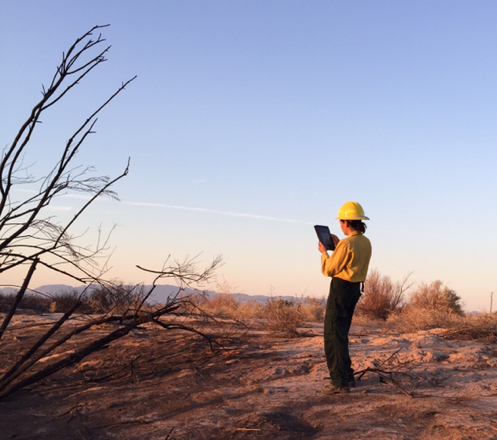 Juliette Jeanne captures documentation on the Willow Fire using an iPad and Collector App. Photo by Tina Johnson