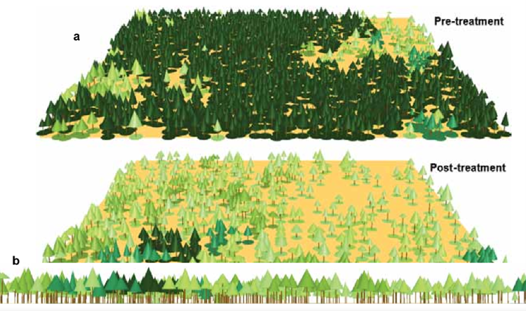 Screenshot of Forest Vegetation Simulator software.