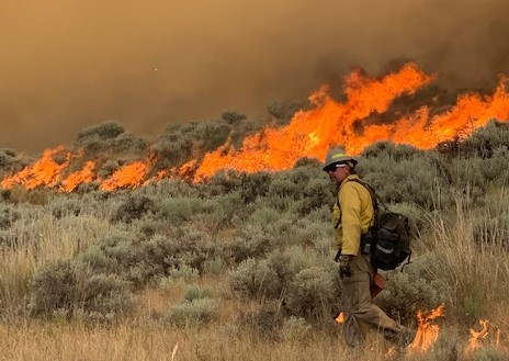 Firefighter drags fire behind him in a planned pattern igniting grass and brush ahead of the wildfire's front. Photo: CSKT