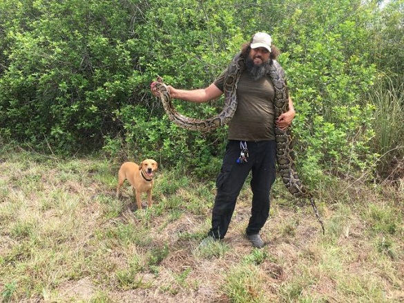Man holding a python as part of the Miccosukee Tribe of Indians of Florida Python K9 Detection Program.