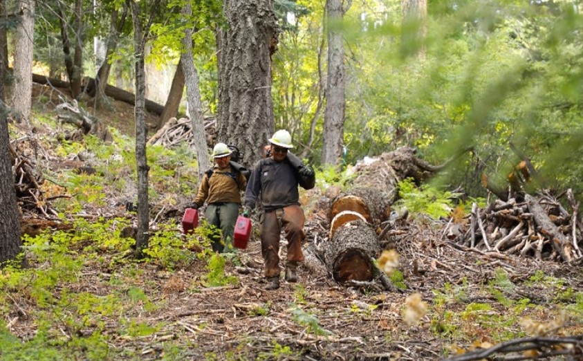 2019 Fort Apache fuels employees create a fuel break on Frog Mountain to prevent wildfire.