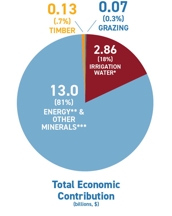 piechart of Total Economic Contribution