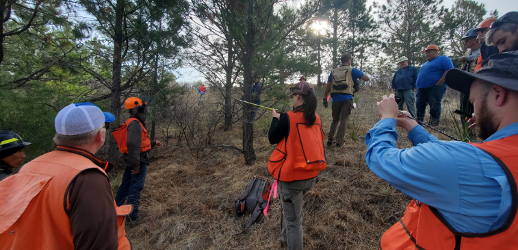 Timber Team and tribal staff remeasuring CFI plot at Rosebud agency, SD.