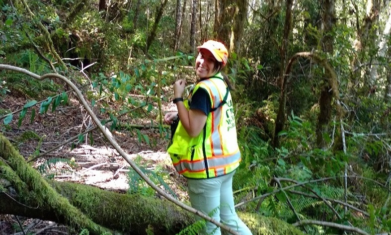 Yurok Tribe Wildlife Department staff member conducting an Endangered Species Act compliance survey