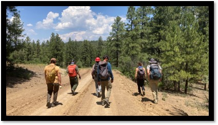 BIA Timber Team walking in the forest